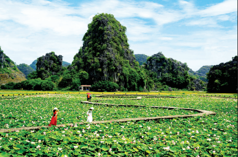 JOURNEY 01: HOA LU TAM COC/TRANG AN HANG MUA  PHAT DIEM STONE CATHEDRAL